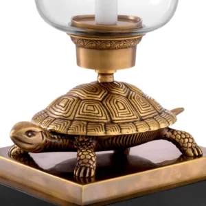 HURRICANE TORTOISE
