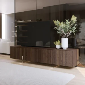 BASE DE TV LAGGI